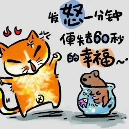 吉安网站推广